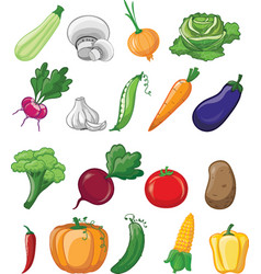 Cartoon Fruits And Vegetables Broccoli Carrot