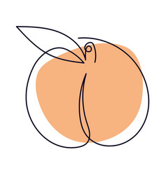 Peach Line Drawing