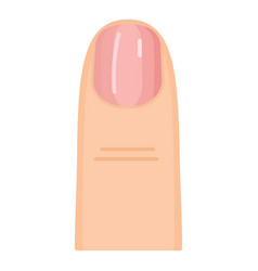 Manicure Nail Icon Cartoon Beauty Salon