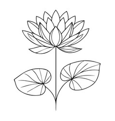 Nymphaea Water Lily Flower Tattoo Coloring Page