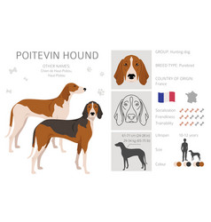 Poitevin Hound Clipart All Coat Colors Set All