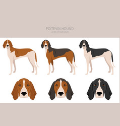 Poitevin Hound Clipart All Coat Colors Set All