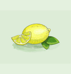 Yellow Lemon Slice And Leaf Watercolor With Ink