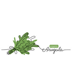 Arugula Rucola Bunch Simple Drawing One