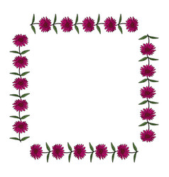 Square Frame With Horizontal Pink Echinacea