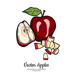 Apples Isolated Set Whole Quarter Cut