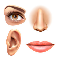 Eye Ear Lips Nose Icons Set