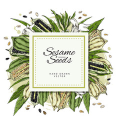 Sesame Seeds Spices And Food Ingredient Label