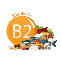 Vitamin B2 Riboflavin