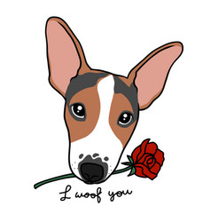 Jack Russell Puppy Dog With Rose In Mouth