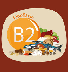 Vitamin B2 Riboflavin