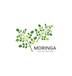 Moringa Leaf