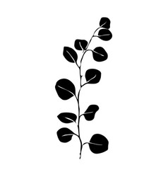 Eucalypthus Lily Black And White Silhouette