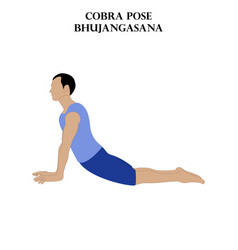 Cobra Pose Yoga Workout Bhujangasana Man Doing