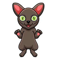 Cute Korat Cat Cartoon Standing