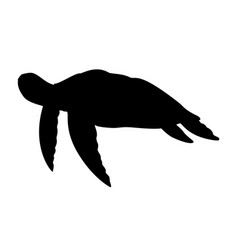 Sea Turtle Silhouette