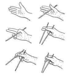 How To Use Chinese Or Japanese Chopsticks