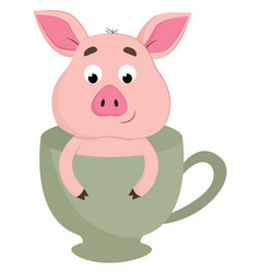 Pig In Tea Cup Or Color