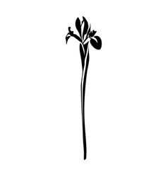 Iris Black And White Silhouette Floral