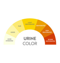 Urine Color Chart