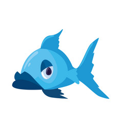 Flat Blue Fish