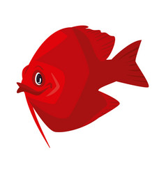 Flat Red Fish