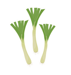 Fresh Leek Vegetables