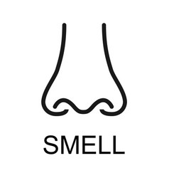 Human Anatomy Flat Nose Icon Smell Health Organ