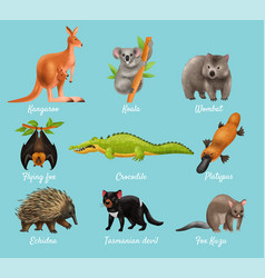 Australian Animals Design Concept