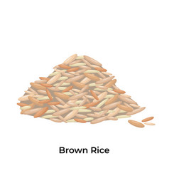 Brown Rice Stock Isolated