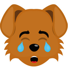 Dog Face Crying