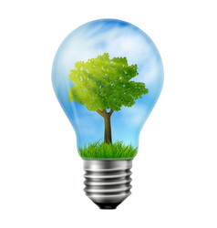 Green Tree Is Growing Inside A Light Bulb Ecology