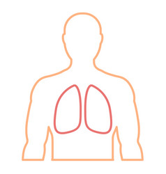 Mens Contour With The Designation Of Healthy Lungs