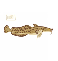 Burbot Cartoon