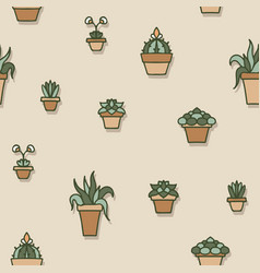 House Plants In Terracotta Pots On Beige