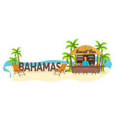 Beach Bar Bahamas Travel Palm Drink Summer