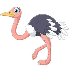 Cartoon Ostrich On White Background