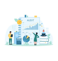 Audit Analysis And Financial Discovery Tiny