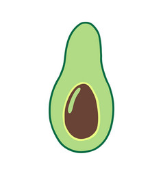 Avocado In Section