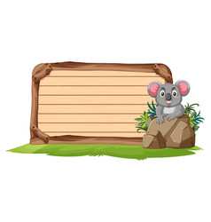 Cute Koala Sitting On A Rock By A Wooden Sign