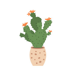 Cute Cacti And Succulent In Pot On White