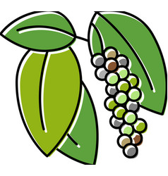 Inflorescence Pepper Color Icon