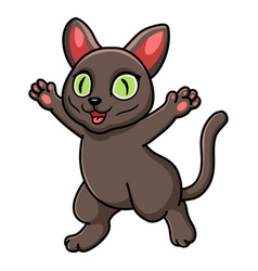 Cute Korat Cat Cartoon Raising Hands