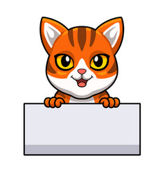 Cute Orange Tabby Cat Cartoon Holding Blank Sign