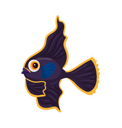 Flat Black Fish