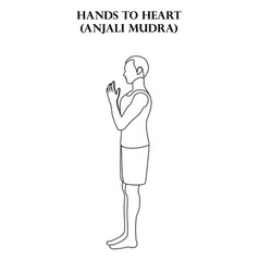 Hands To Heart Pose Yoga Workout Anjali Mudra