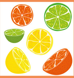 Citrus In Lemon Lime Orange