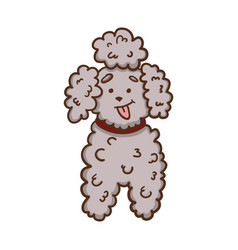 Cute Grey Cartoon Poodle Dog Character