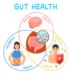 Why Gut Health Matters Vertical Poster Medical