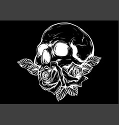 A human skulls with roses on white background Vector Image